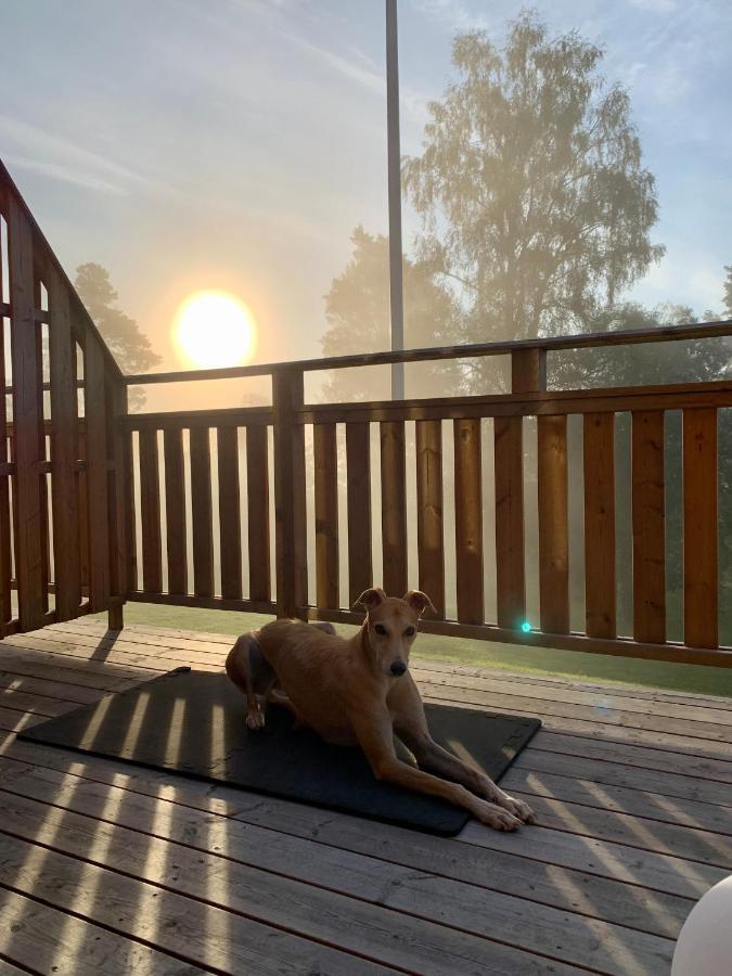 Nyrenoverat Boende I Vackra Järvsö Exterior foto
